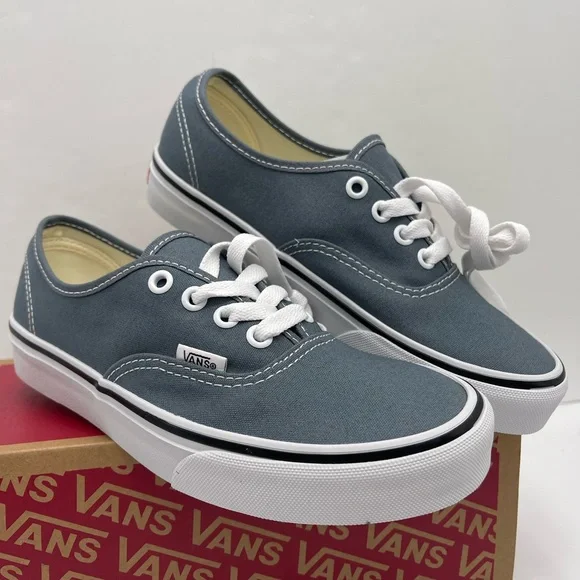 Vans Men’s Authentic Color Theory Stormy WeatherVN000EGARV2 Sneakers